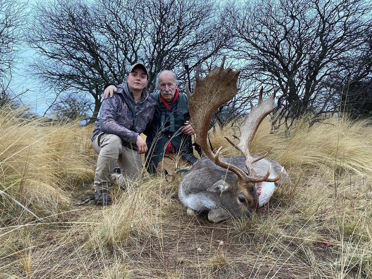 Rot-/Damhirsche & Sauen