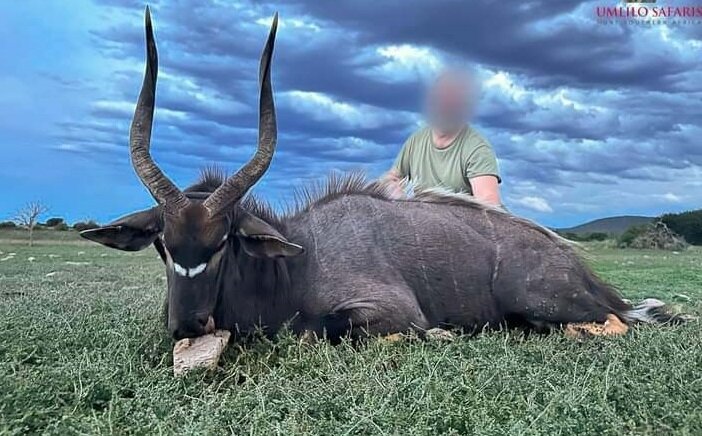 Trophäenjagd auf Antilopen in der Eastern Cape-Region! - Bild 1