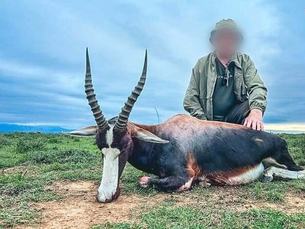 Antilopenjagd in der Eastern Cape-Region! - Bild 2