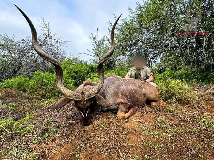 Trophäenjagd auf Antilopen in der Eastern Cape-Region! - Bild 2