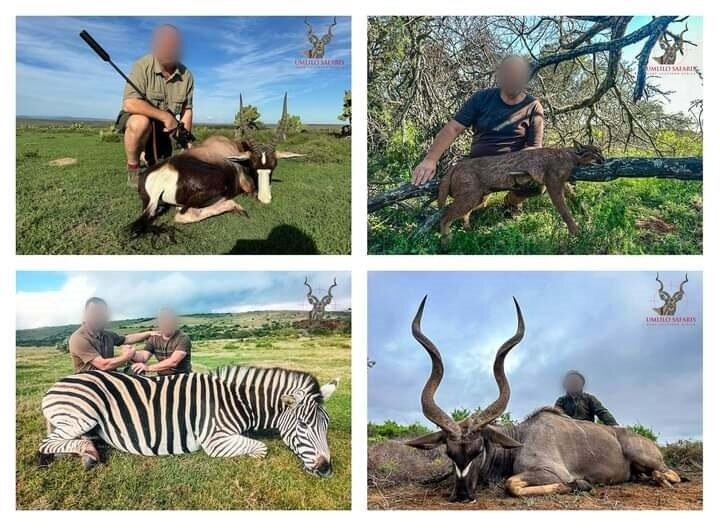 Kombi-Trophäenjagd auf Antilopen in der Eastern Cape-Region! - Bild 2