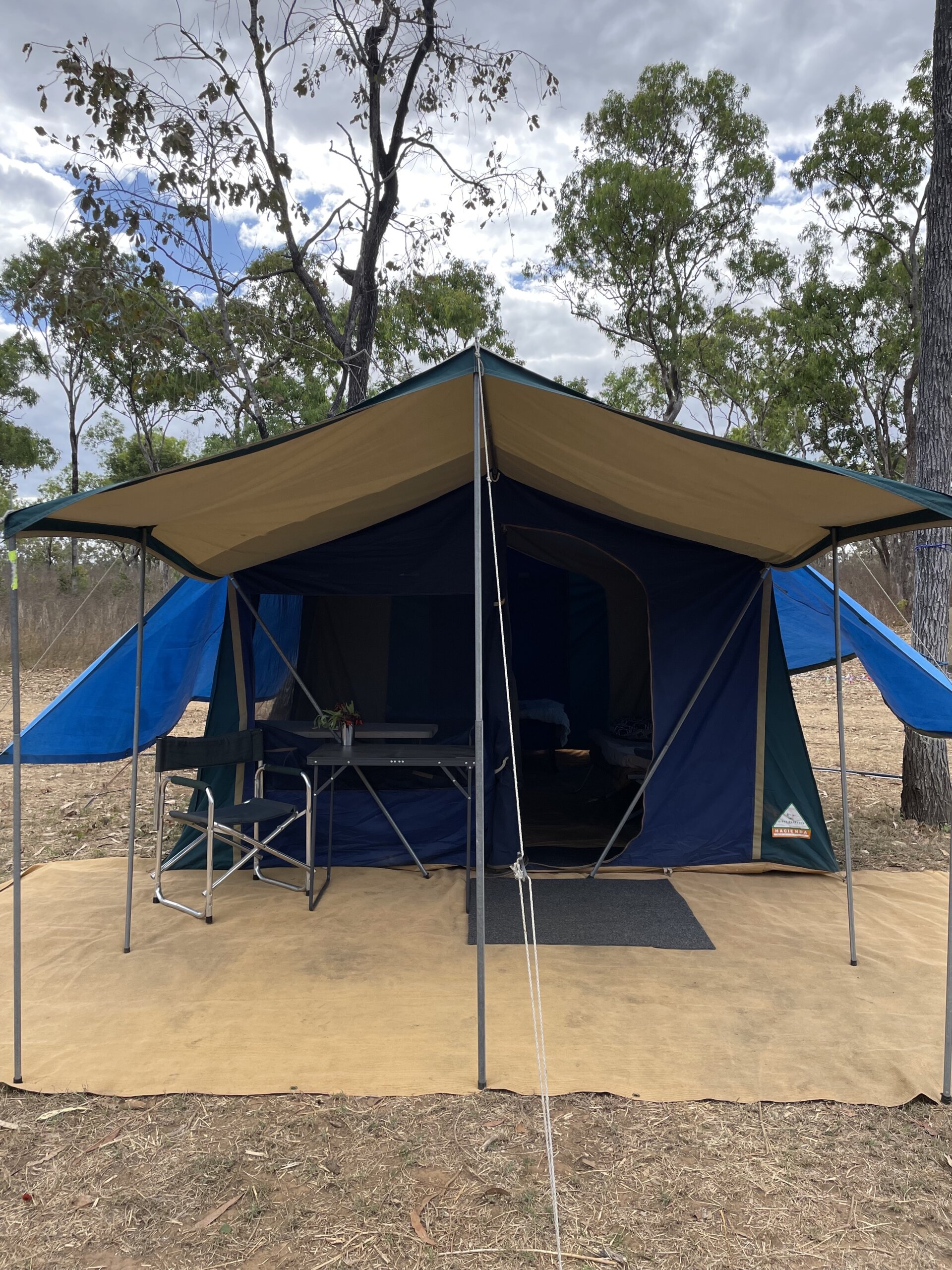 Auf kapitale Wasserbüffel in Arnhemland - Australien - Bild 3