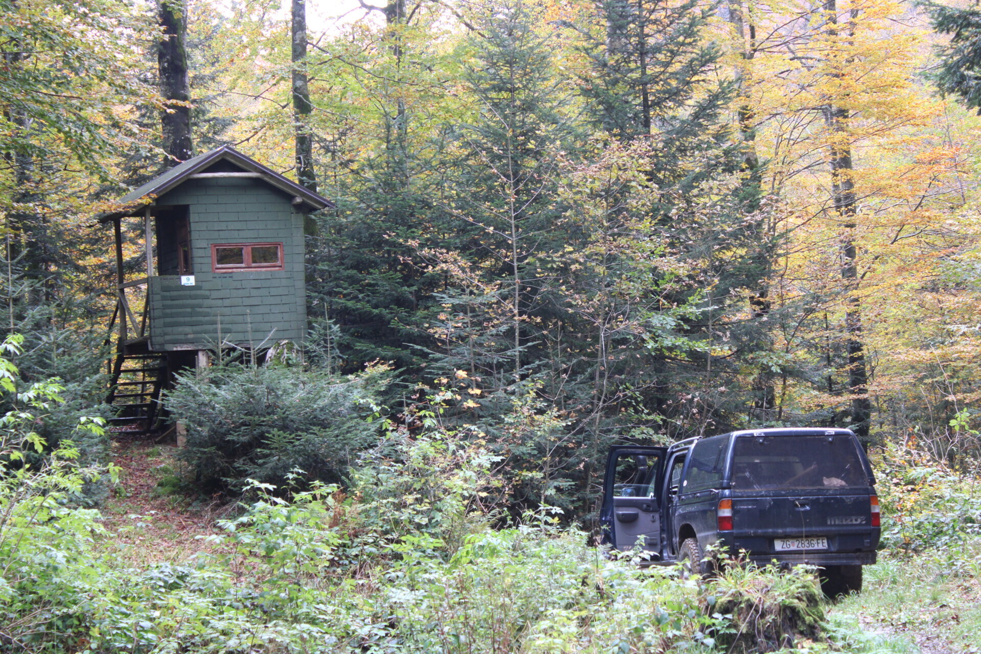 Auf starke Braunbären in den Wäldern von Kroatien - Kroatien - Bild 3
