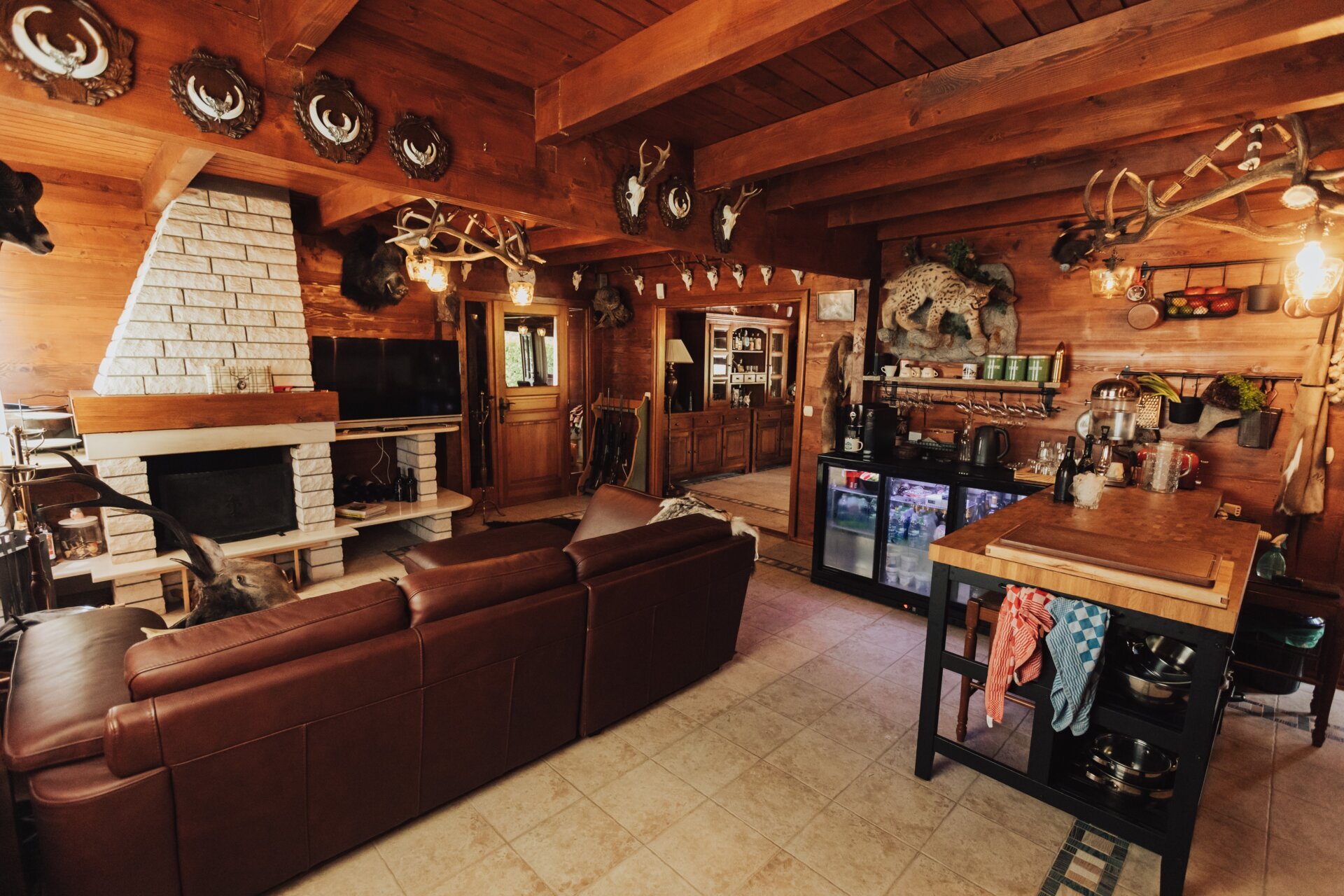 Auf starke Braunbären in den Wäldern von Kroatien - Kroatien - Bild 4