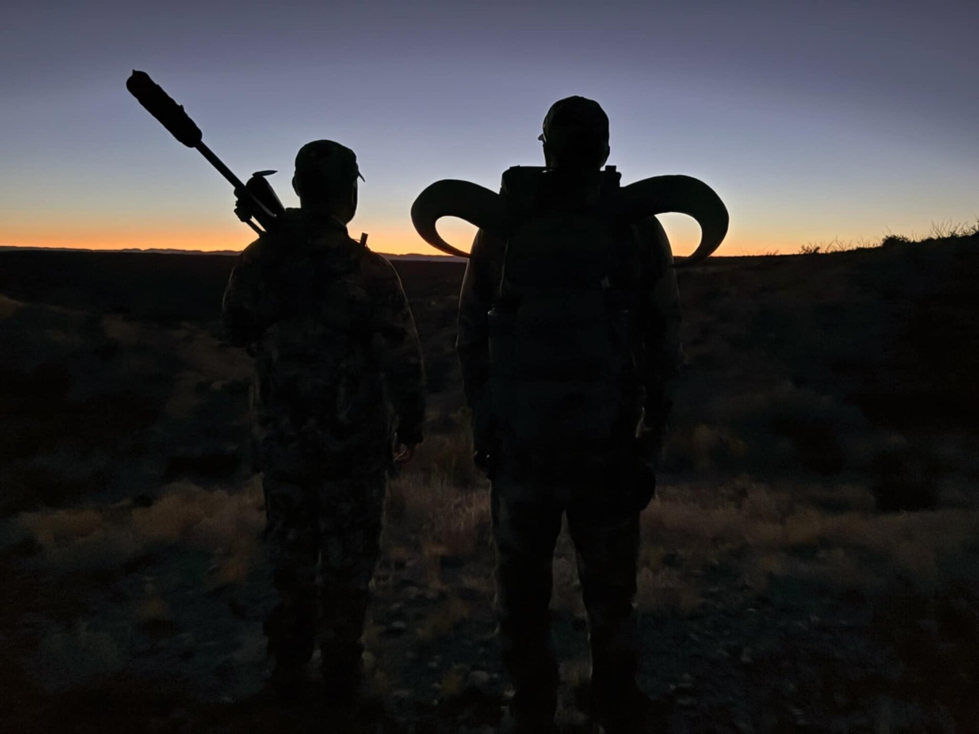 Auodad (Mähnenspringer) - Texas - USA - Bild 2