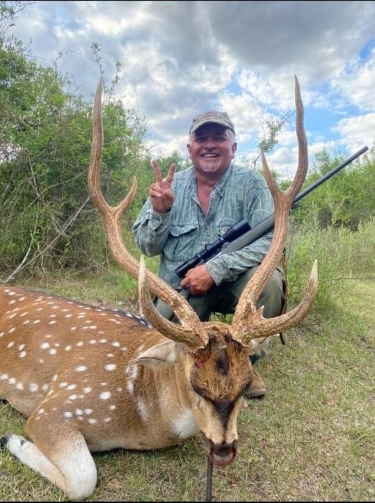 Axishirsch & Kahlwild