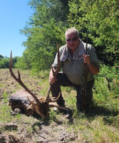 Axishirsch Argentinien