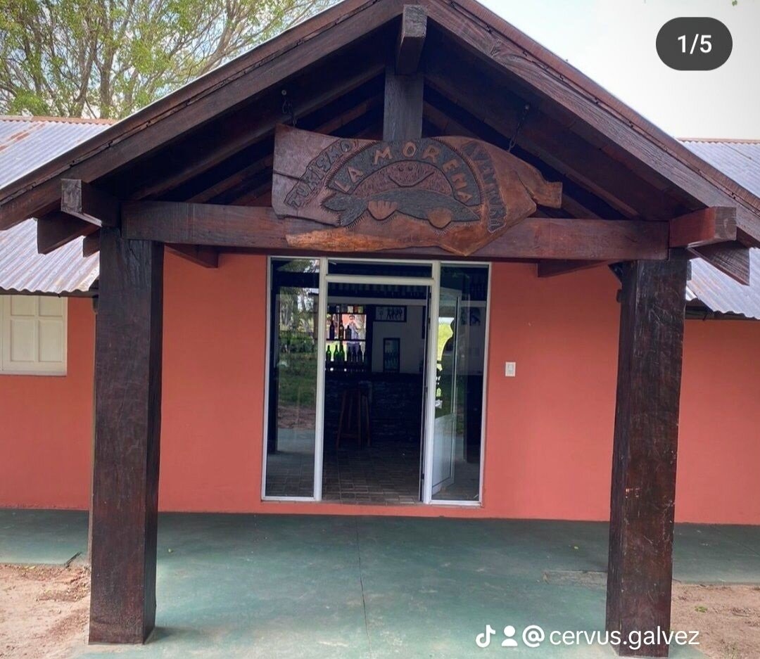 Axishirsch Argentinien