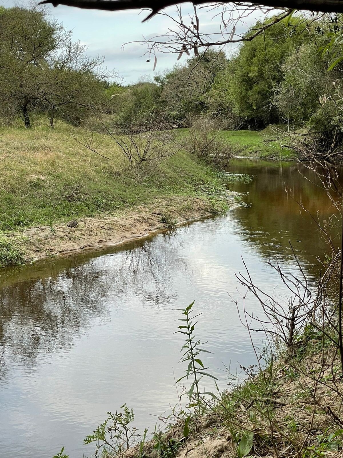 Axishirsch & Angeln Argentinien