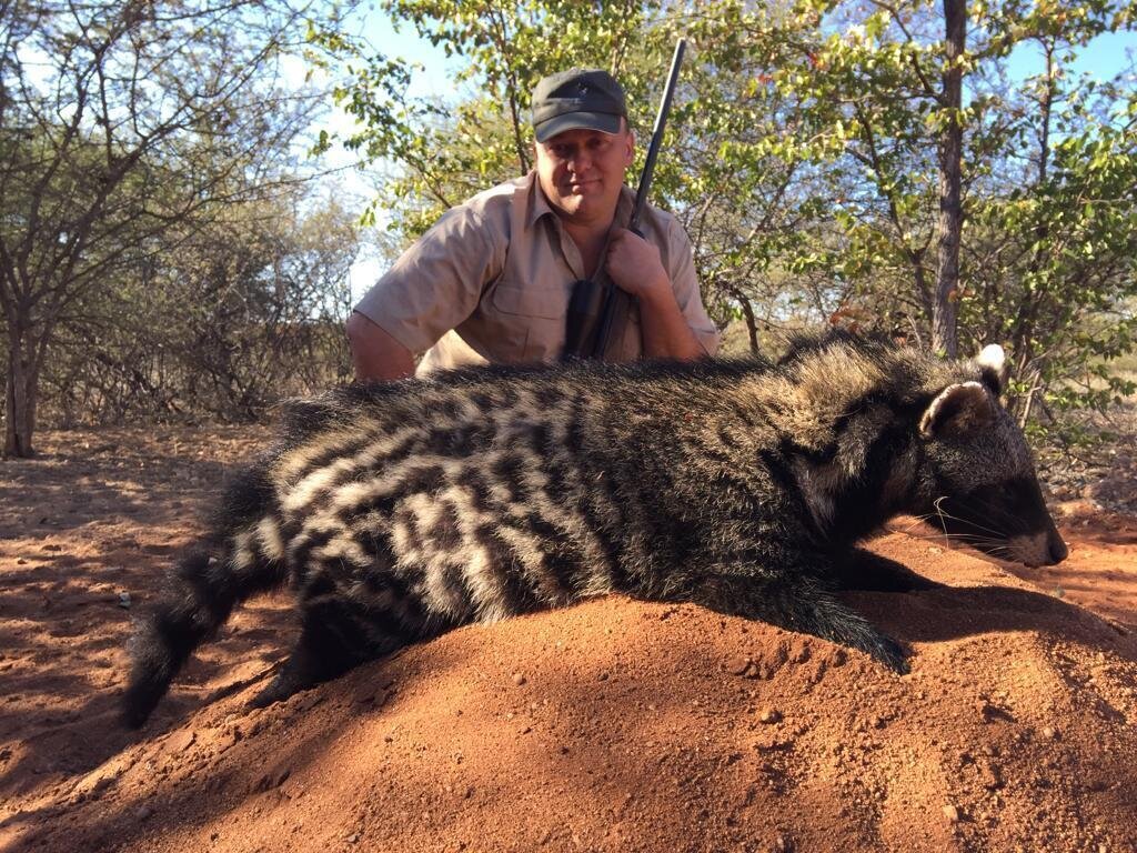 Raubwild-Jagd in Südafrika! - Bild 1