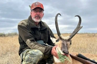 Pronghorn Montana