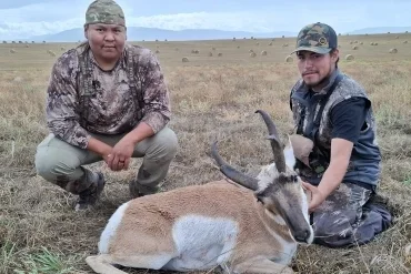 Pronghorn Montana