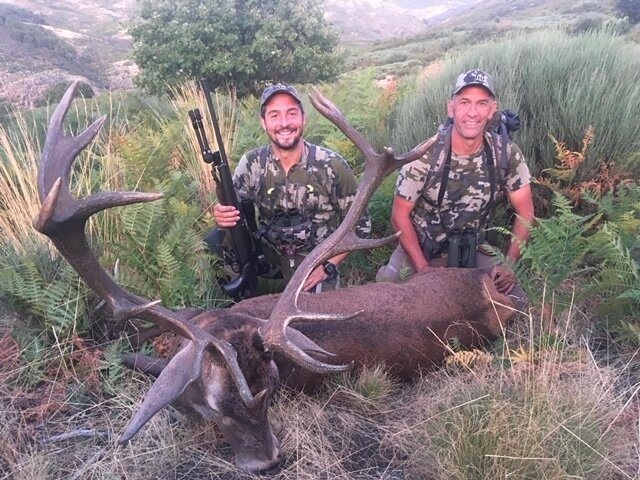 Rothirsch-Jagd in Spanien - Bild 2