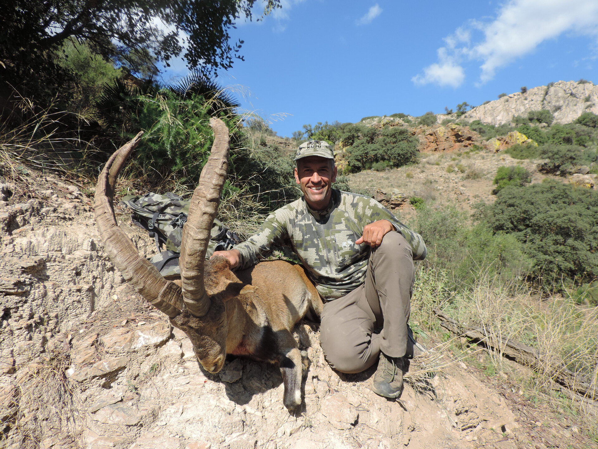 Starke Steinböcke - Spanien - Bild 2