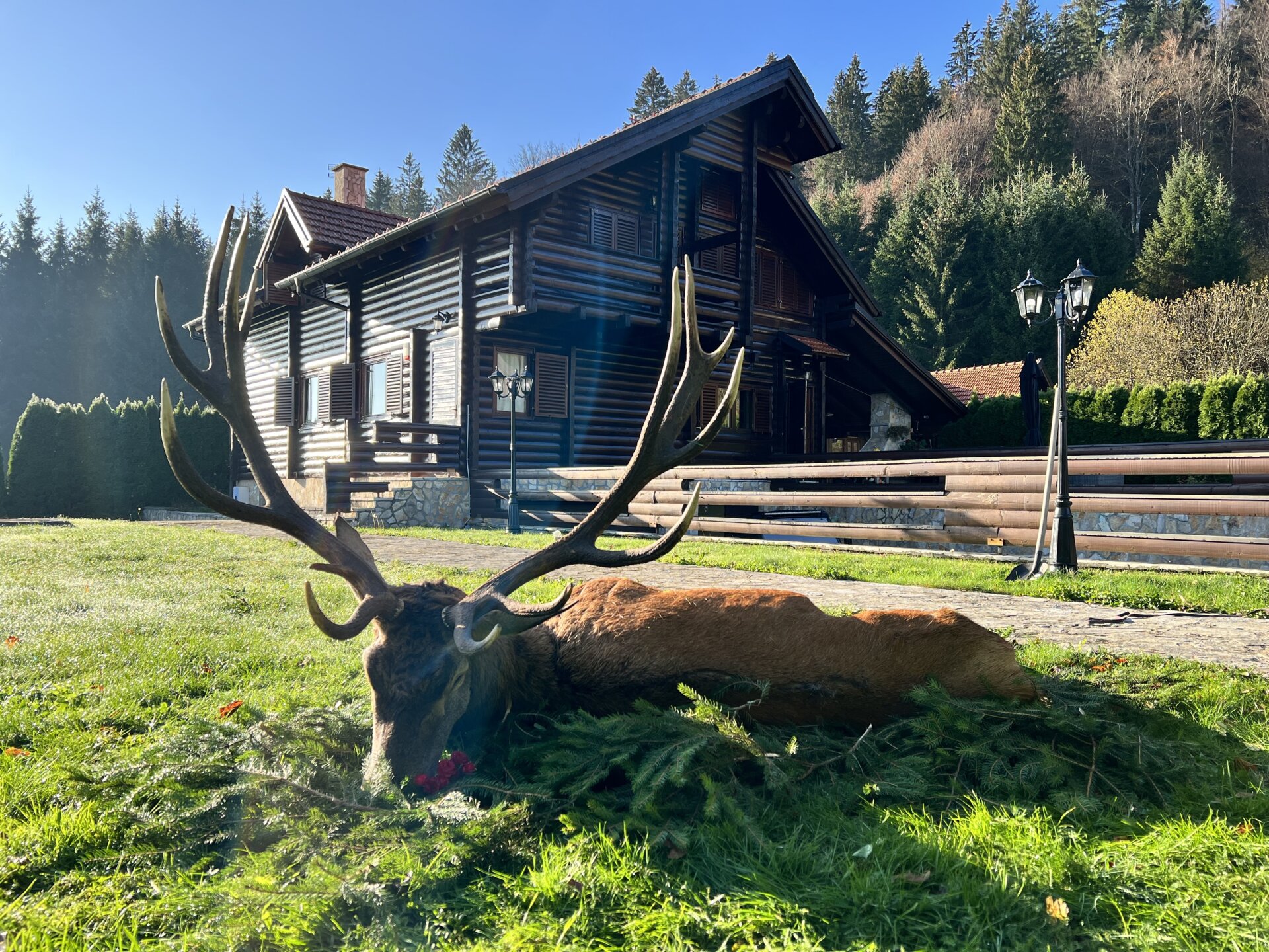 Der jagdliche "Grand Slam" in den Wäldern von Kroatien - Kroatien