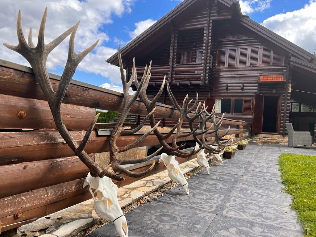 Der jagdliche "Grand Slam" in den Wäldern von Kroatien - Kroatien - Bild 3