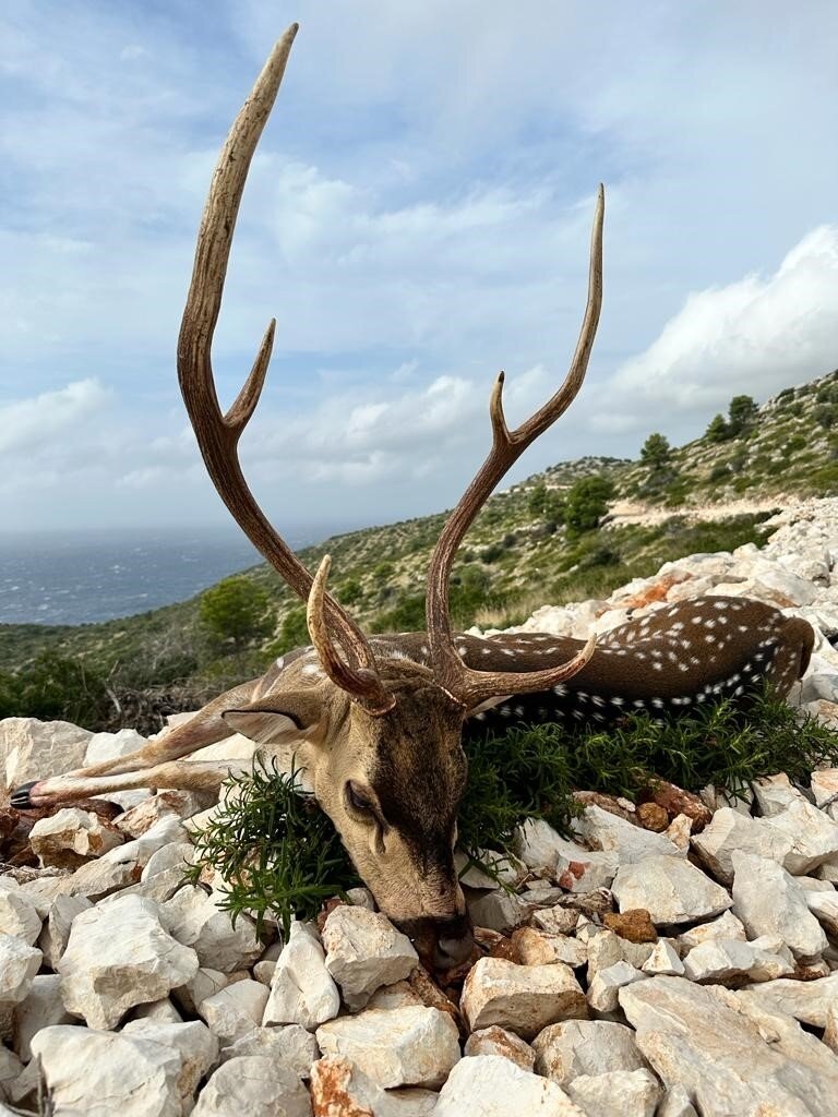Der jagdliche Insel "Grand Slam" auf Dugi Otok - Kroatien - Bild 4