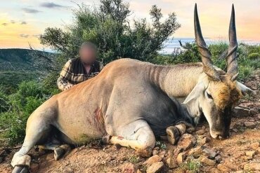 Drehhorn-Spezial in der Eastern Cape-Region!