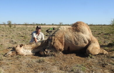 Dromedar-Jagd in Australien