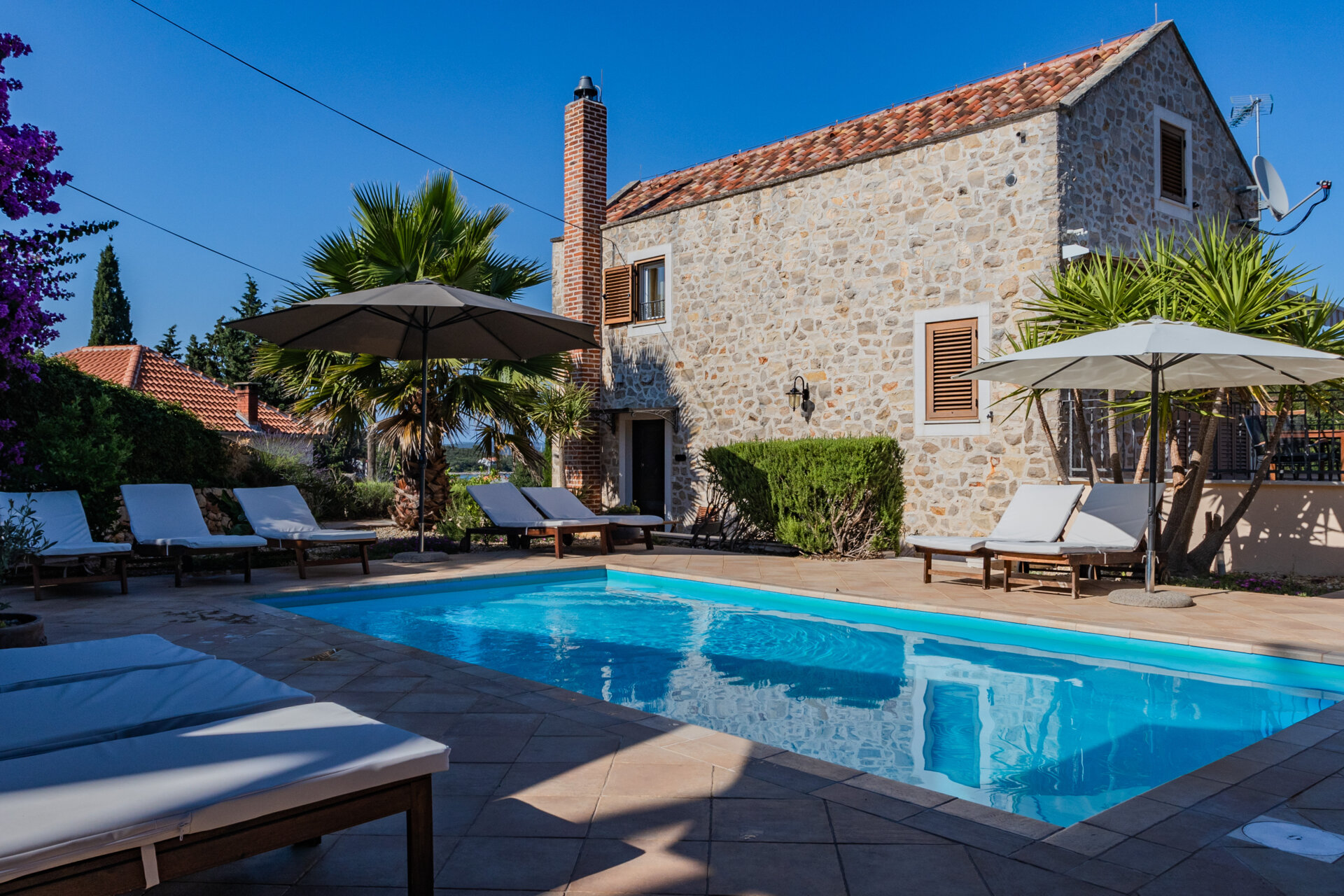 Dublette an der Adria auf Muffelwidder und Axishirsch - Kroatien - Bild 2