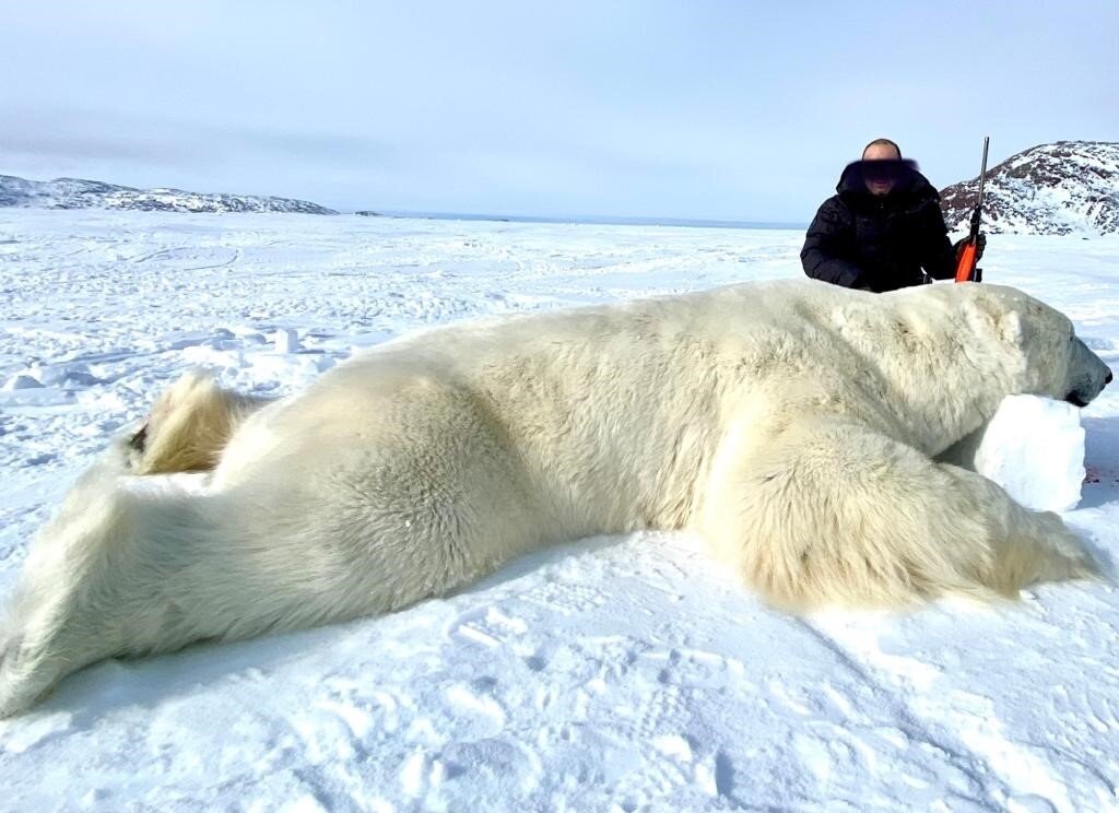 Eisbärjagd in Kanada mit den Inuits - Nunavut/Kanada - Bild 2