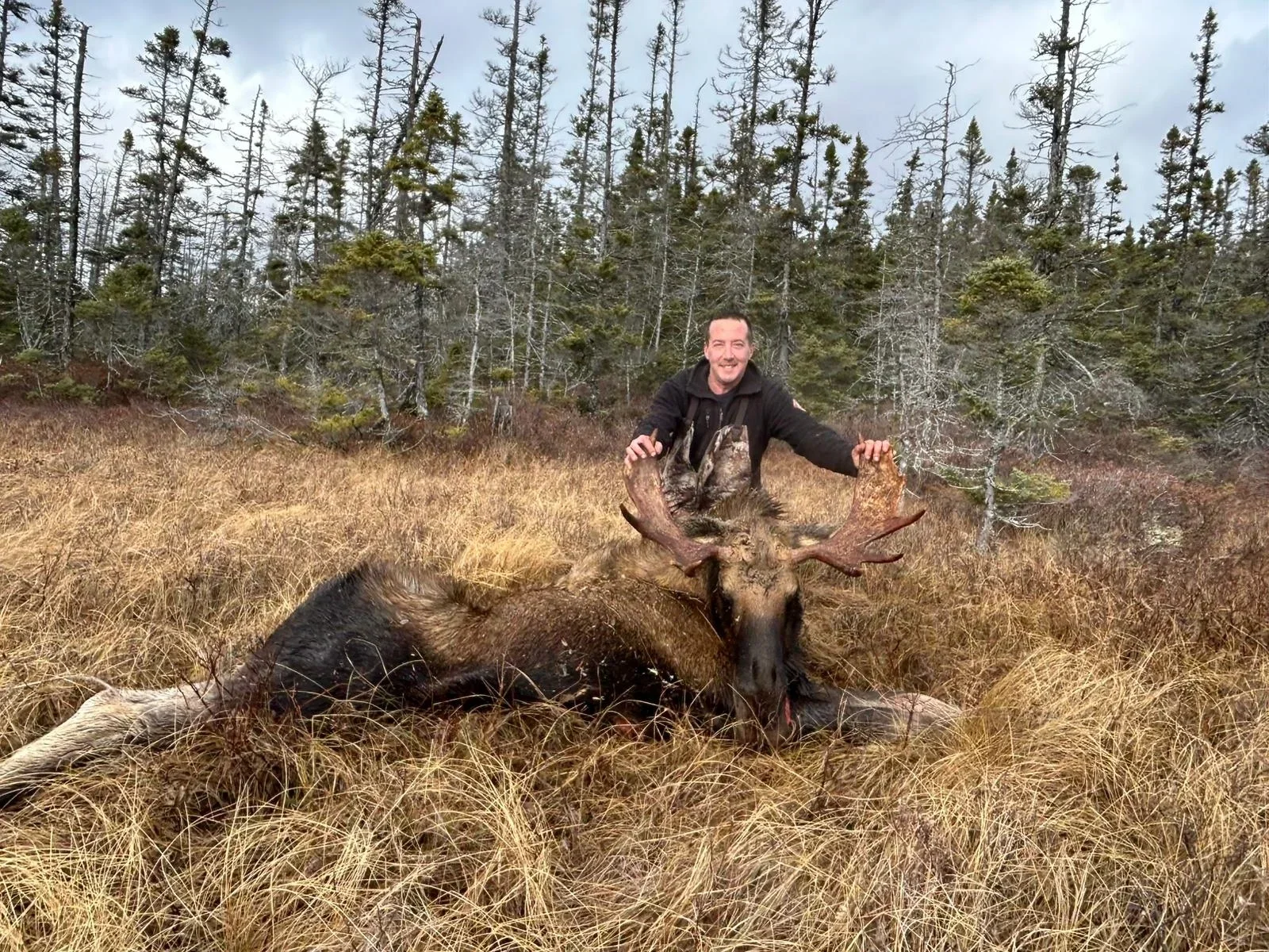 Elch-Jagd - Neufundland - Kanada