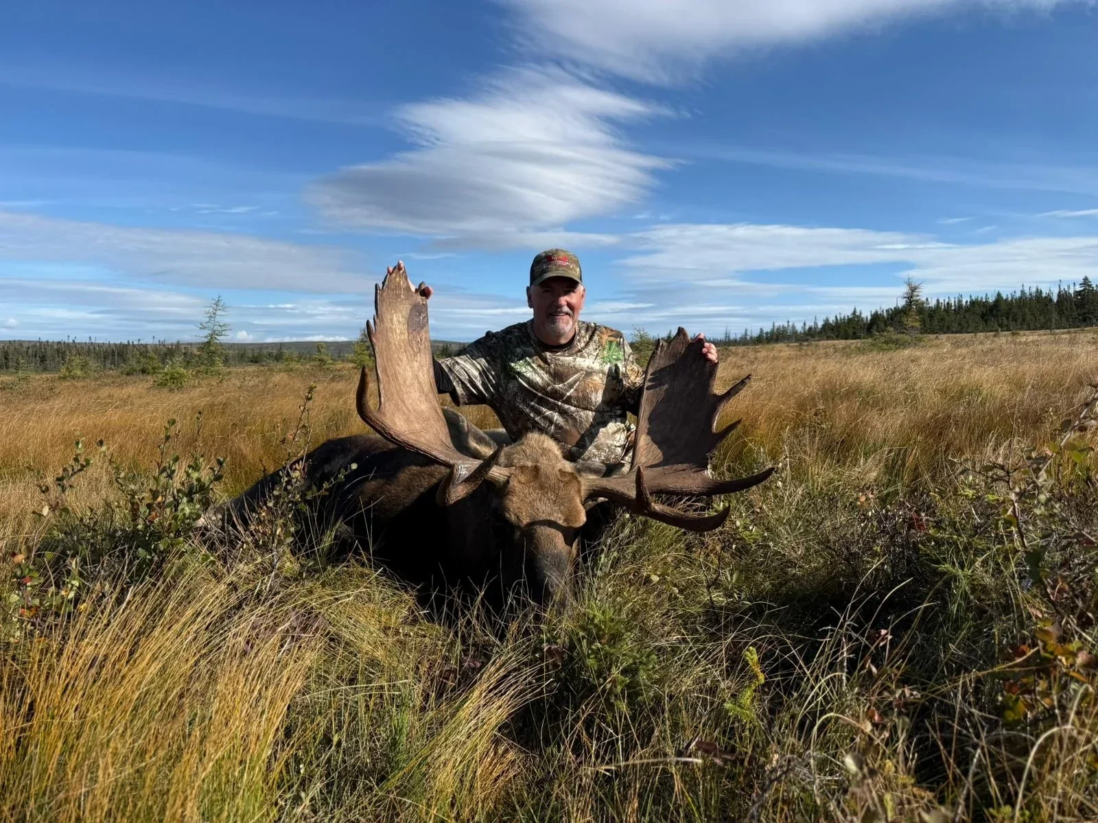 Elch-Jagd - Neufundland - Kanada - Bild 2