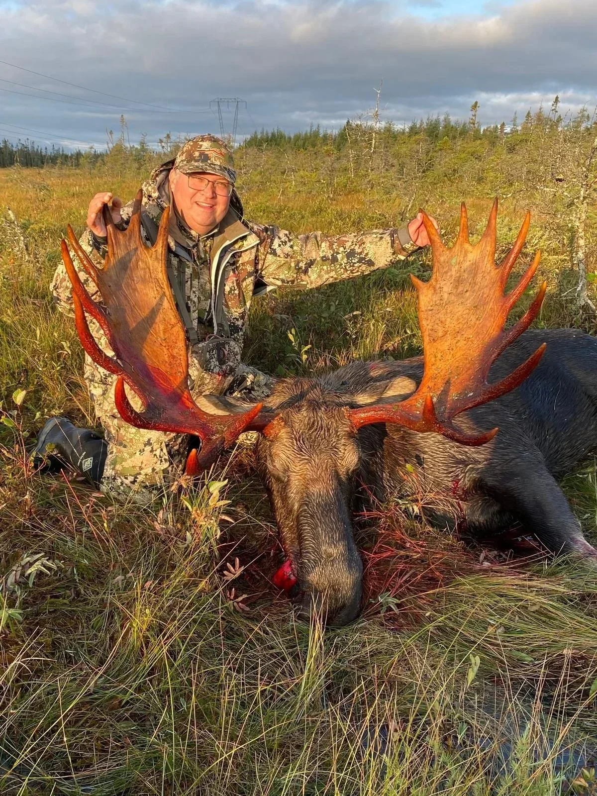 Elch-Jagd - Neufundland - Kanada - Bild 3