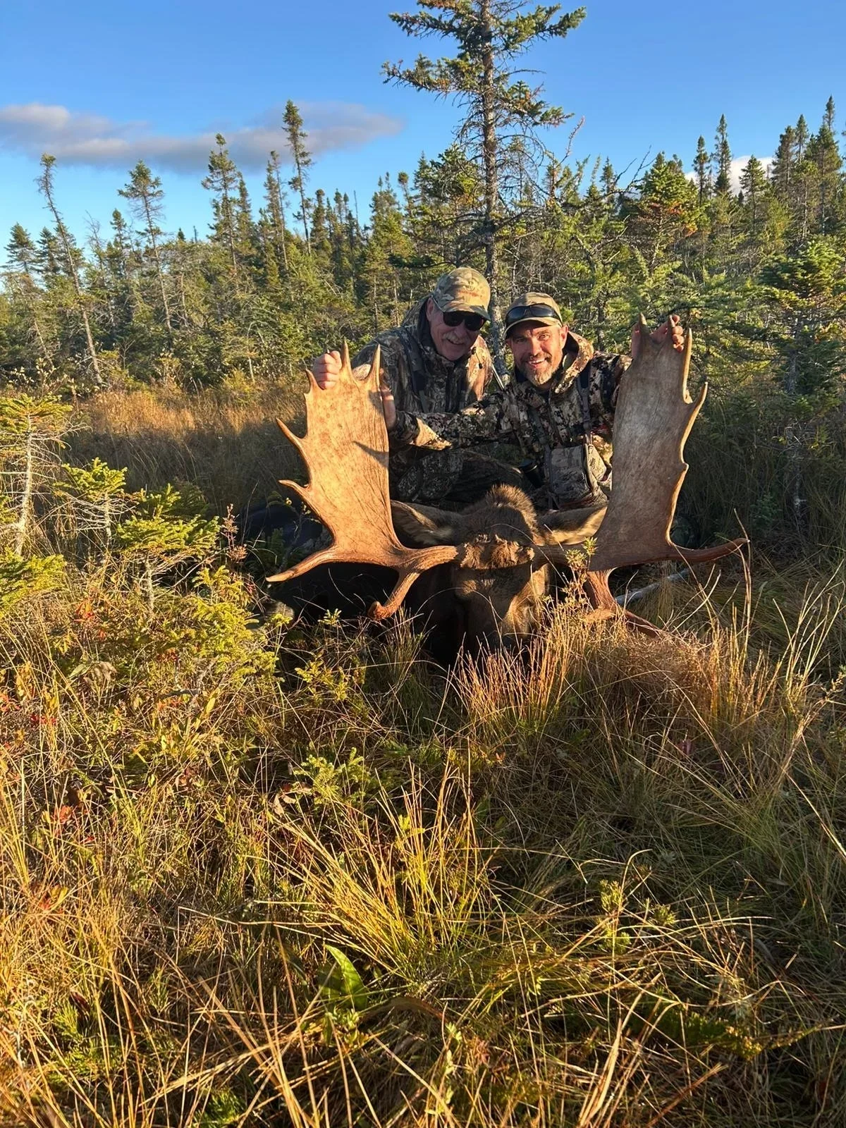 Elch-Jagd - Neufundland - Kanada - Bild 4