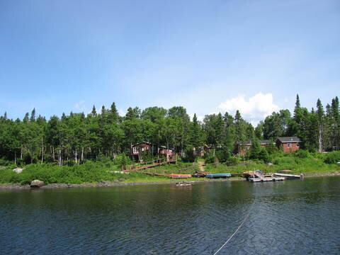 Elch-Schwarzbär-Jagd-Kombo - Newfoundland/Kanada