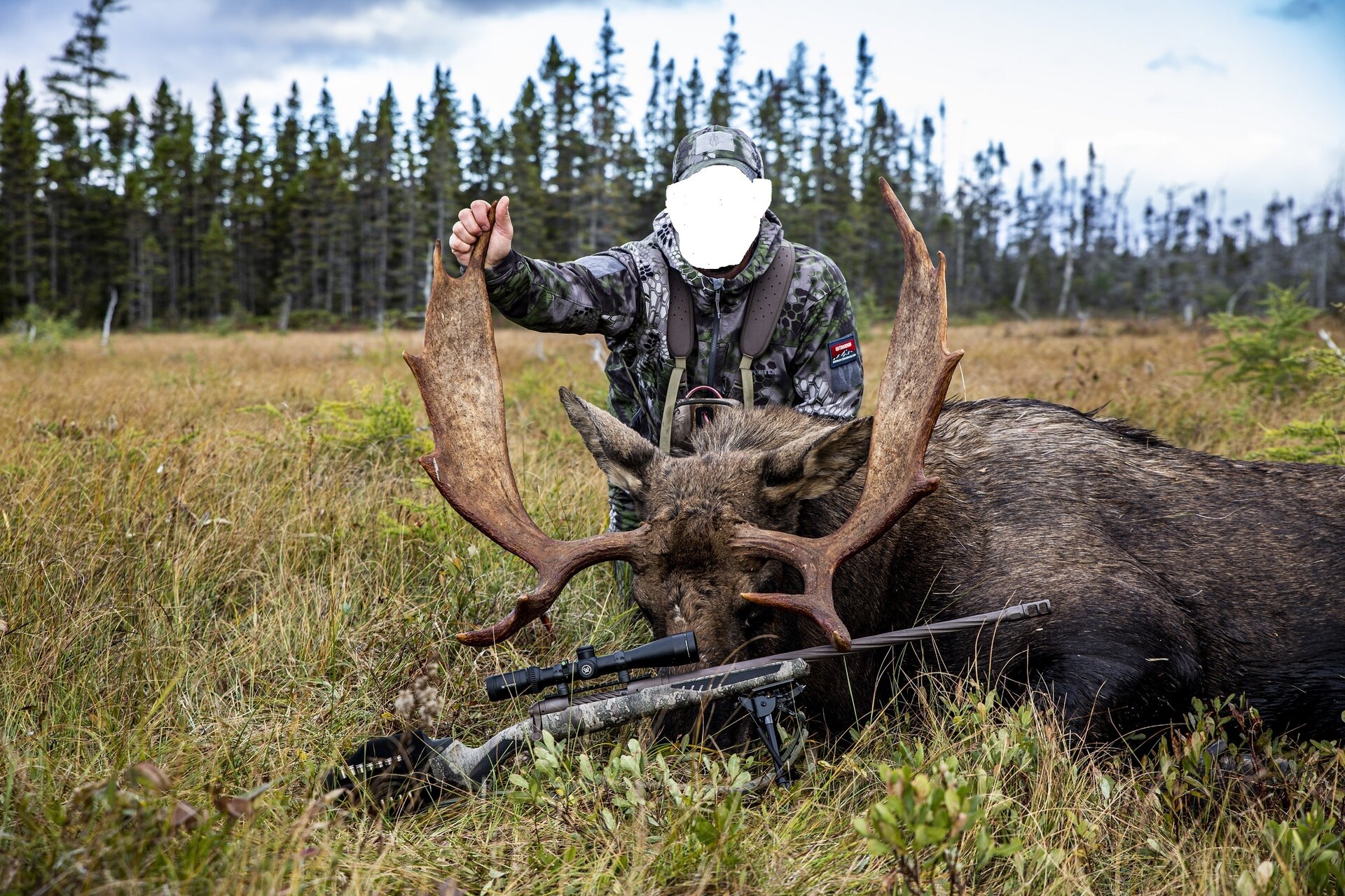 Elch-Schwarzbär-Jagd-Kombo - Newfoundland/Kanada - Bild 3