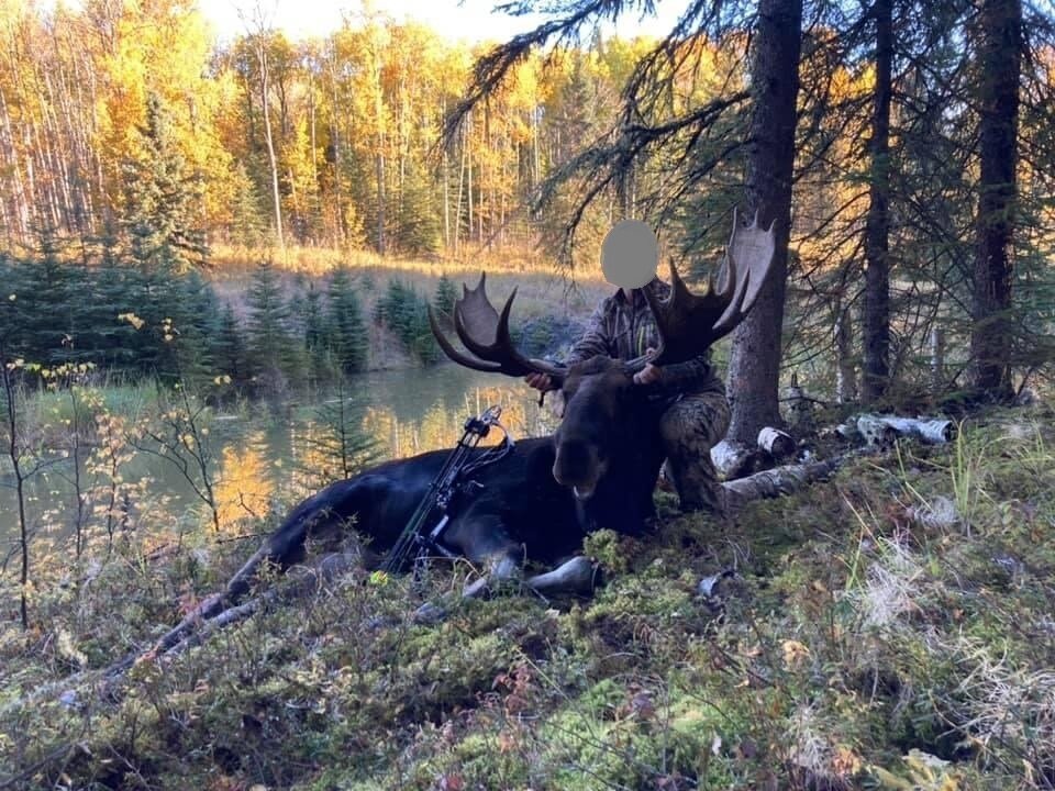 Elchjagd Alberta Farmland