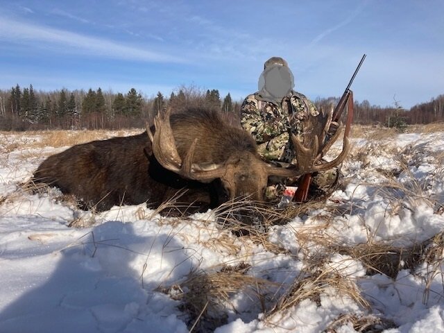 Elchjagd Alberta Farmland