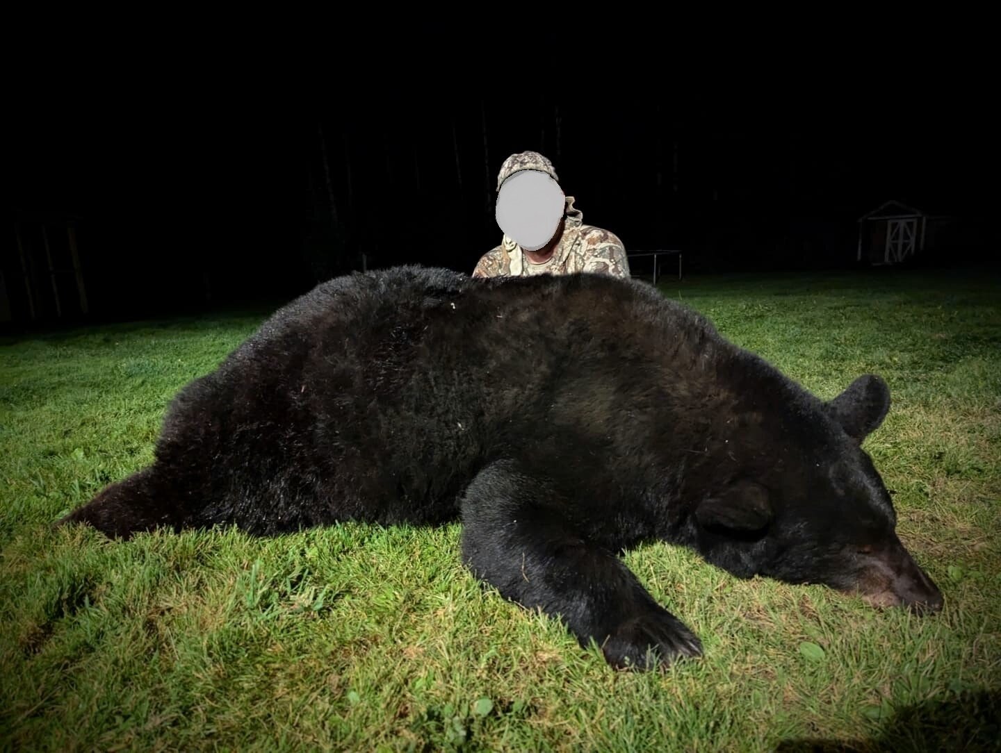 Frühjahrsjagd auf Schwarzbär - Alberta - Kanada - Bild 2