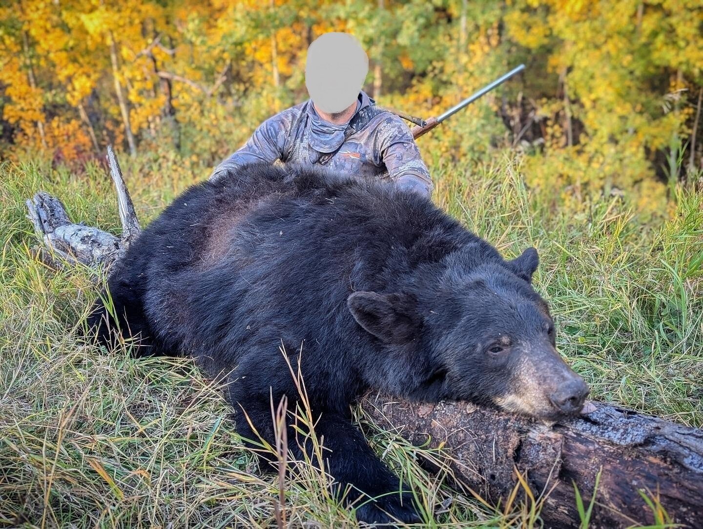 Frühjahrsjagd auf Schwarzbär - Alberta - Kanada - Bild 3