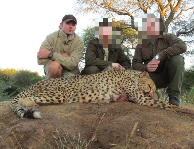 Gepard - Namibia - Bild 1