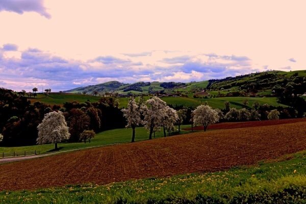 Jungjäger-Paket - Österreich - Bild 2