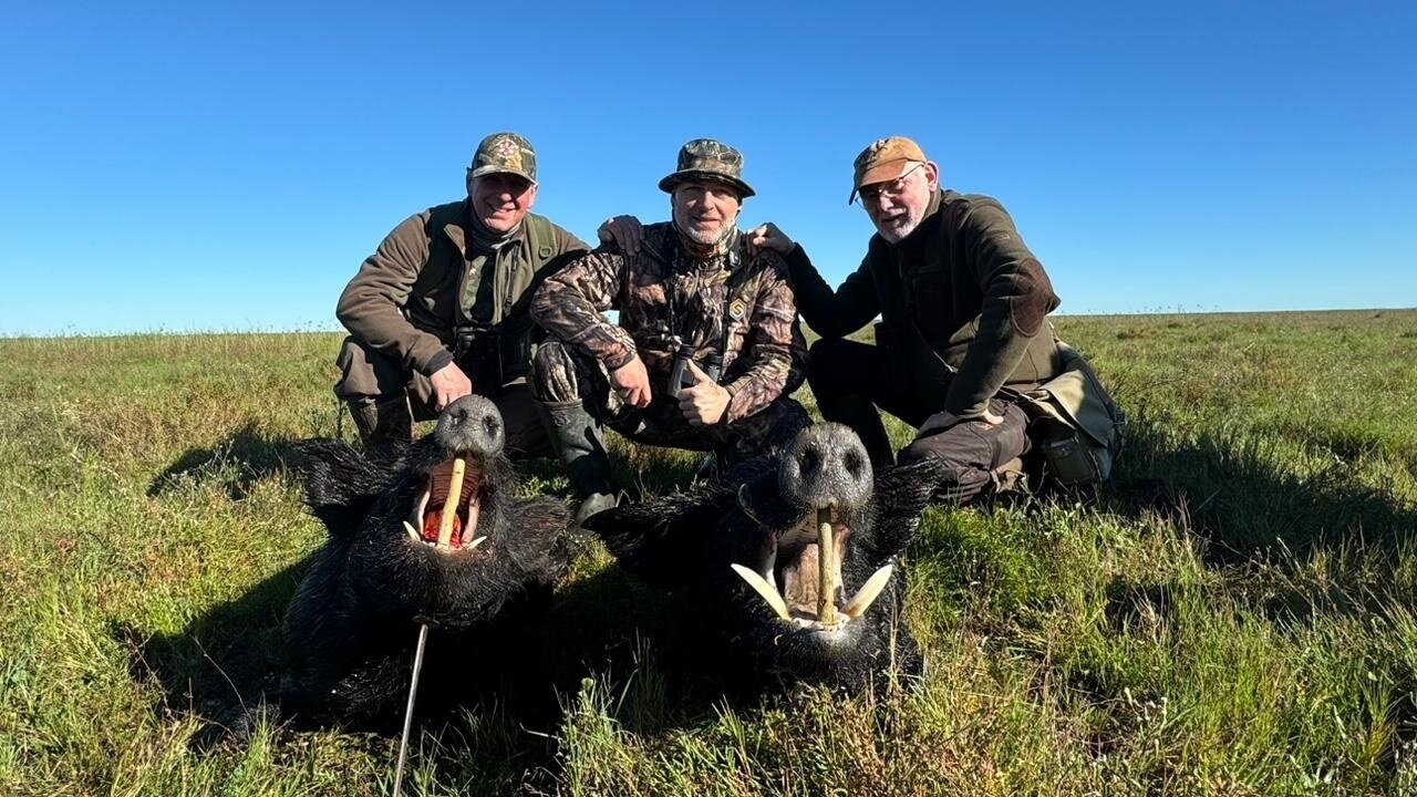 Keiler / Argentinien - Bild 4