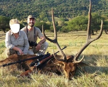 Rusahirsch - Mauritius