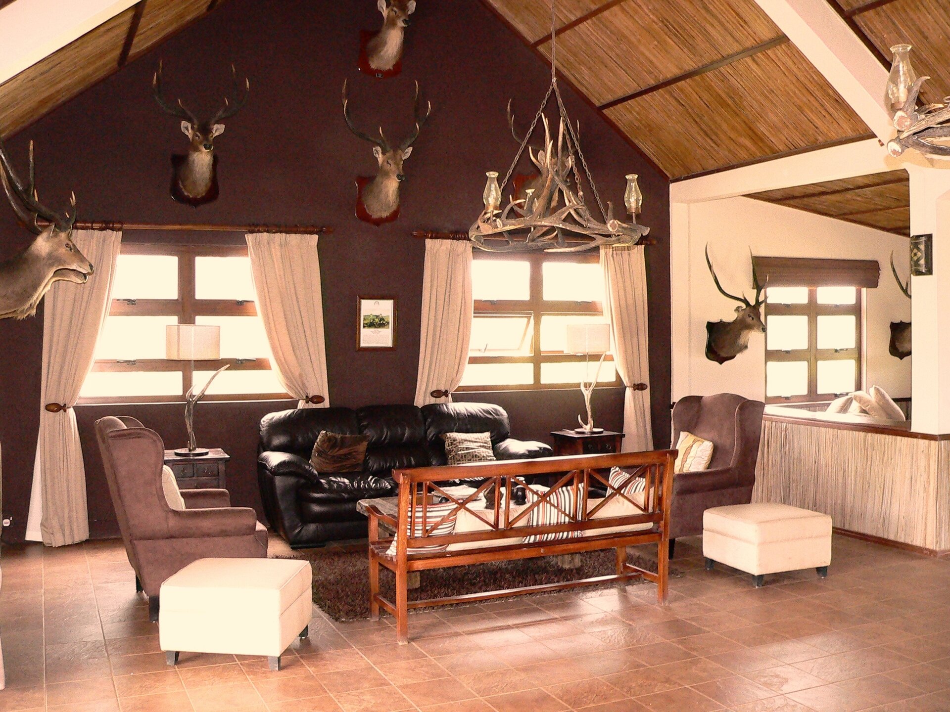 Rusahirsch - Mauritius - Bild 2