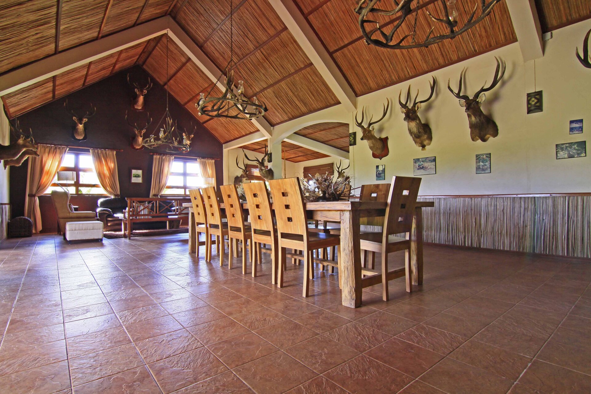 Rusahirsch - Mauritius - Bild 4