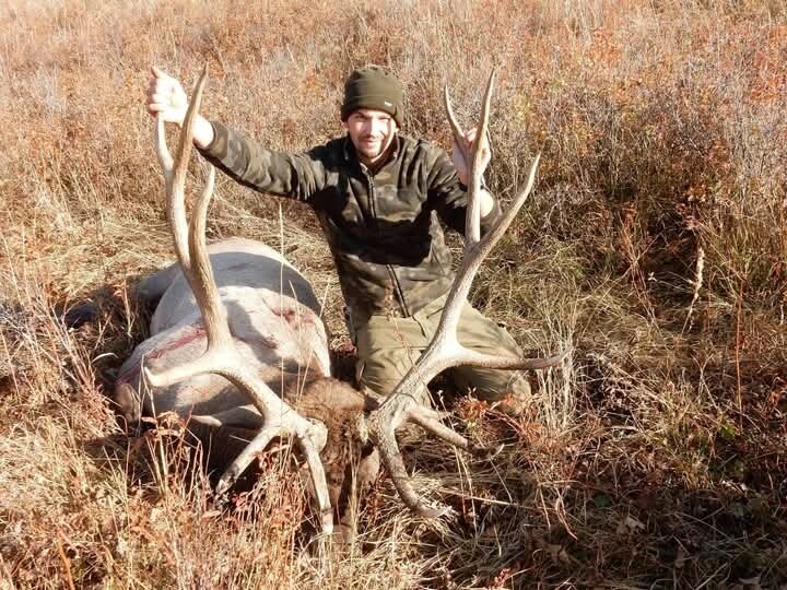 Steinbock Kasachstan