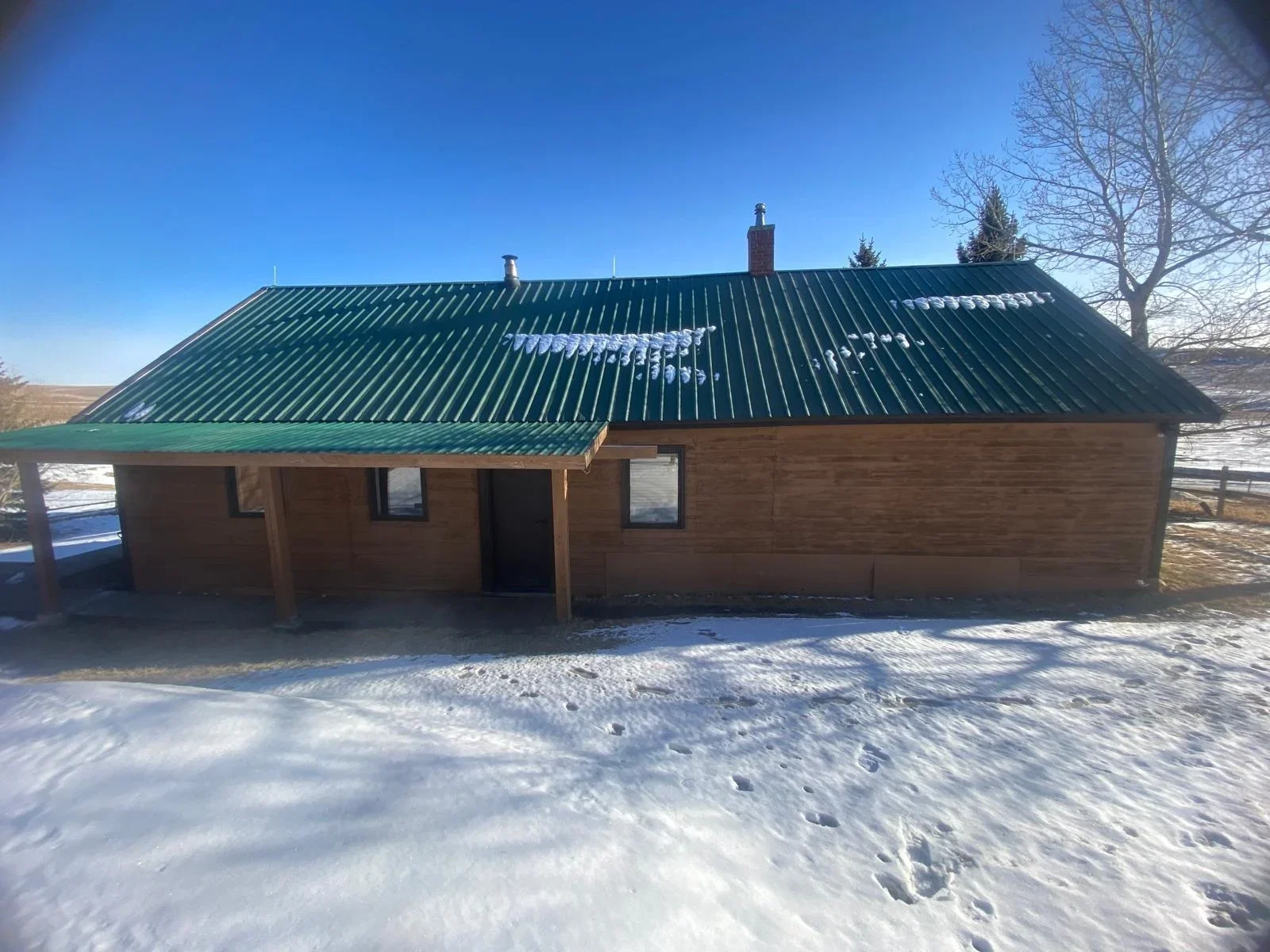 Maultierhirsch (Muledeer) Alberta - Kanada - Bild 4