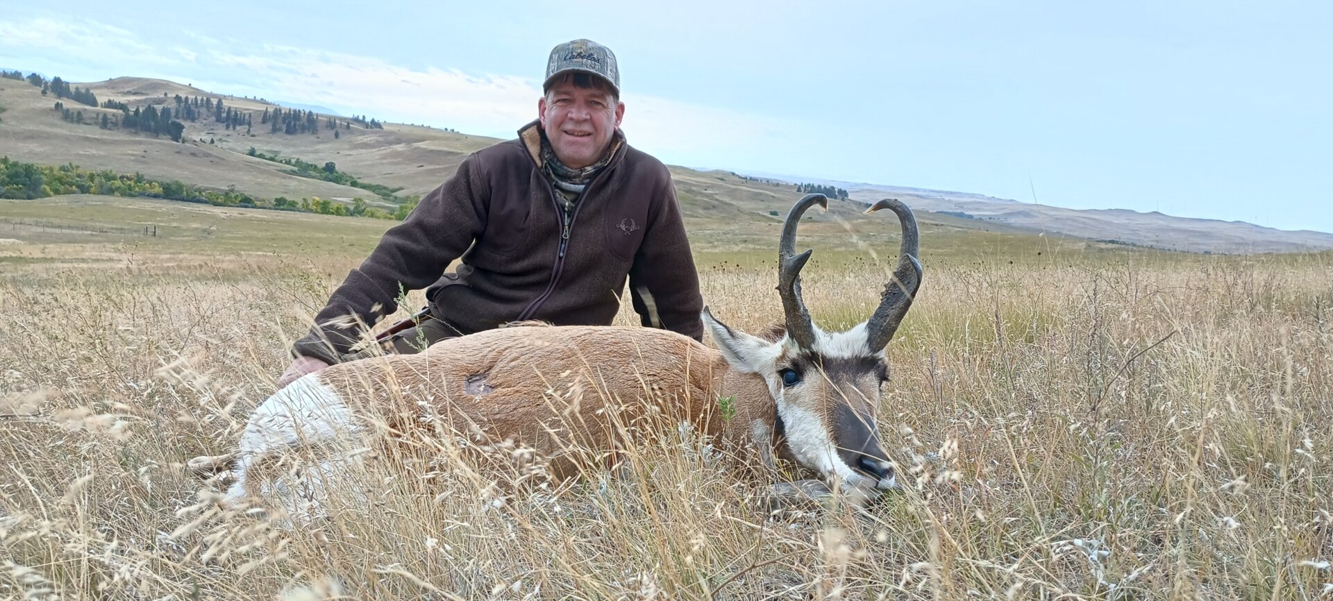Pronghorn/Bison-Kombo - Crow Reservat/Montana/USA - Bild 2