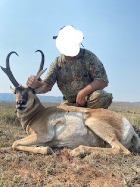 Pronghorn/Bison-Kombo - Crow Reservat/Montana/USA - Bild 4
