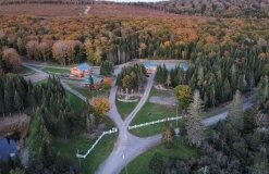 New Brunswick / Kanada - Schwarzbär - Bild 4