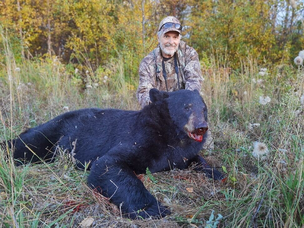 North Alberta Whitetail Camp / Kanada - Schwarzbär - Bild 3