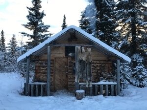 Trapline - Alberta/Kanada - Bild 4