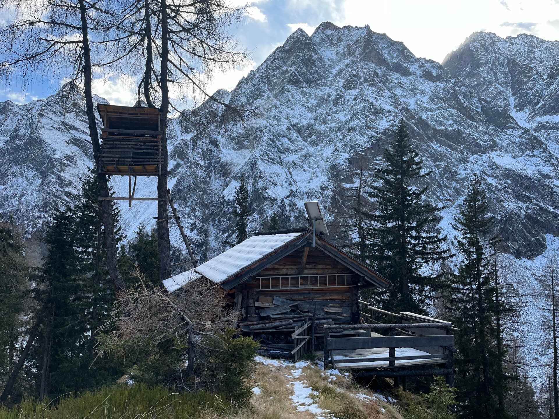 Gams-Jagd - Österreich - Bild 3