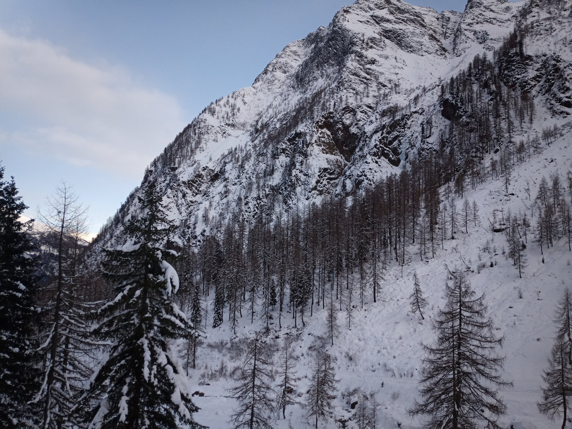 Gams-Jagd - Österreich - Bild 4